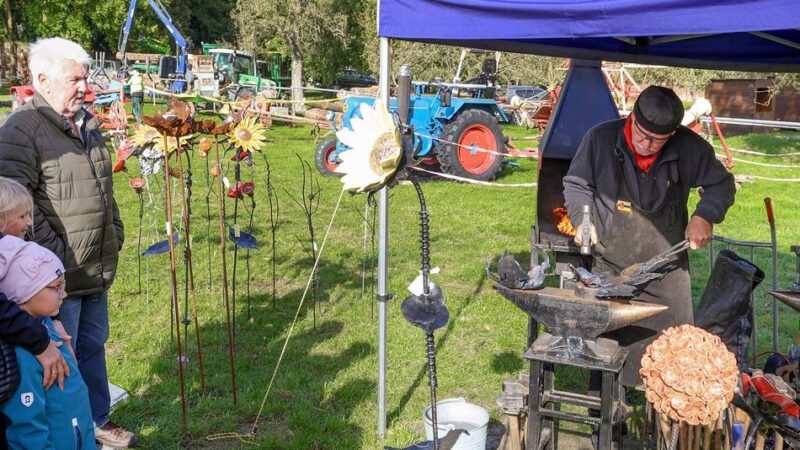 Bauernmarkt in Hohenbusch: Regional einkaufen, staunen und naschen