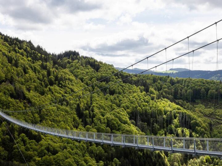 Geplanter Touristenmagnet in Solingen: „Hängebrücke ist echte Attraktion für Tourismus-Standort Burg“
