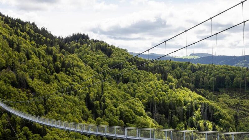 Geplanter Touristenmagnet in Solingen: „Hängebrücke ist echte Attraktion für Tourismus-Standort Burg“