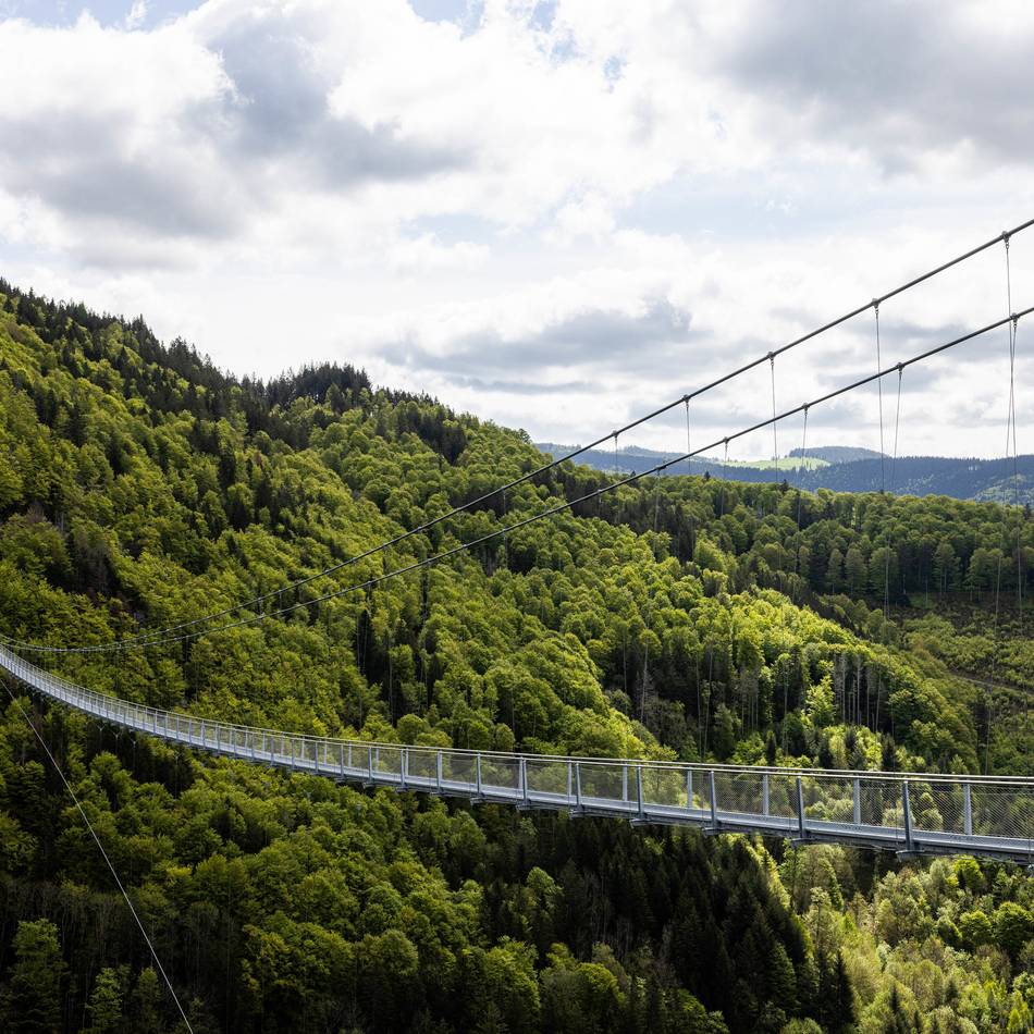 Geplanter Touristenmagnet in Solingen: „Hängebrücke ist echte Attraktion für Tourismus-Standort Burg“