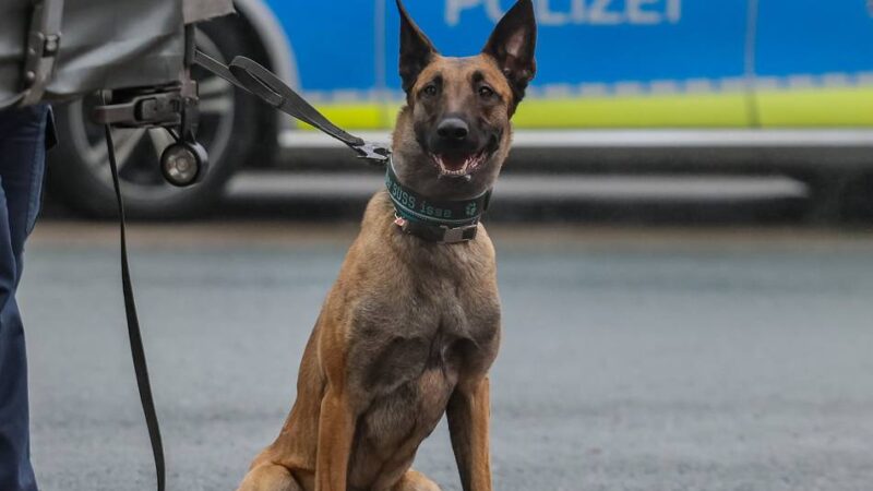 Bande in Schwalmtal aktiv: Kupferdiebe flüchten zu Fuß vor der Polizei