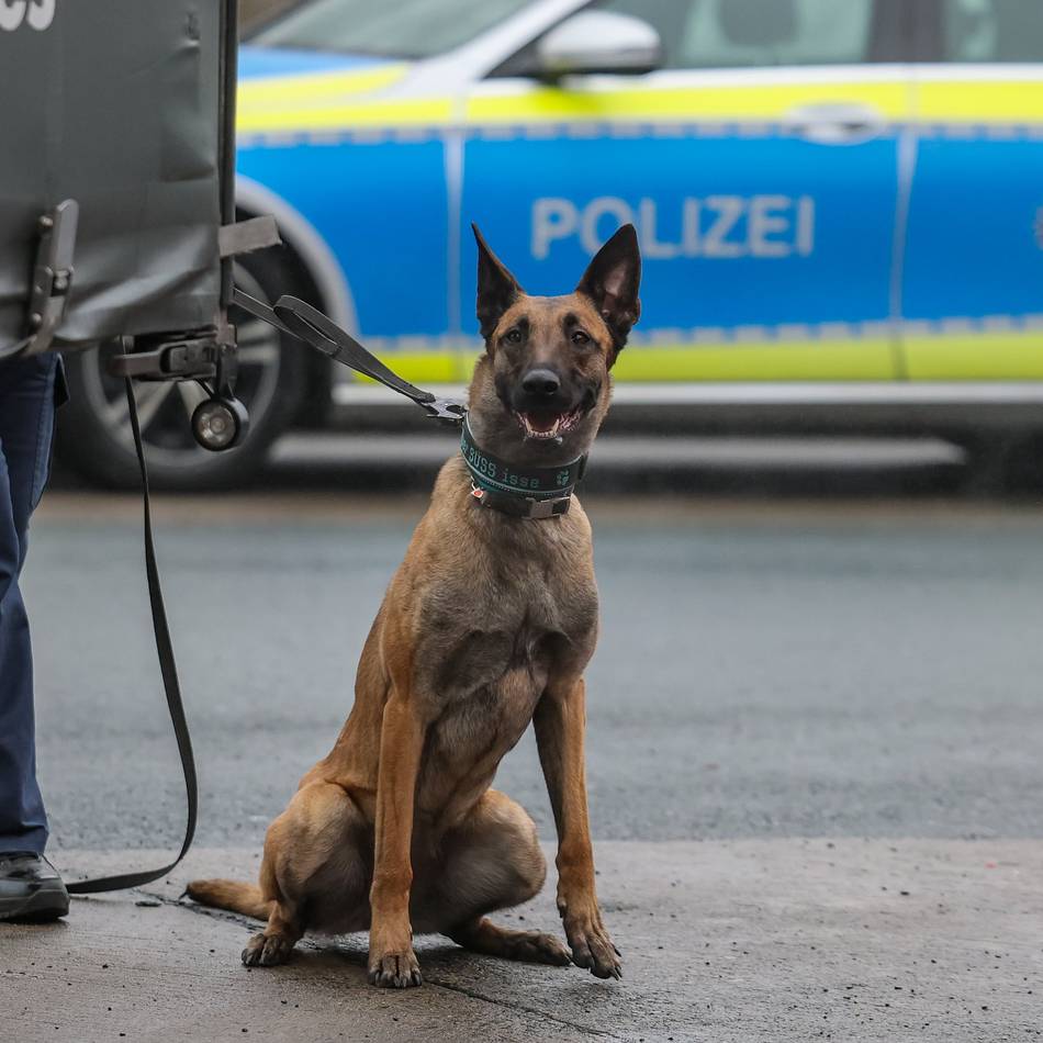 Bande in Schwalmtal aktiv: Kupferdiebe flüchten zu Fuß vor der Polizei