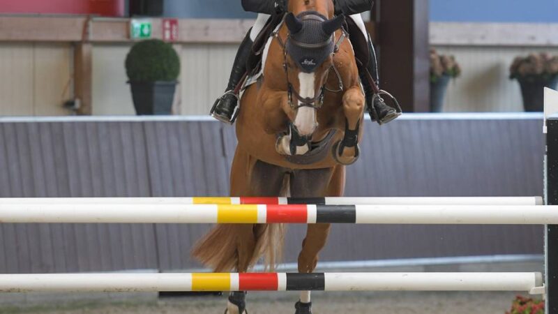 Eröffnung der Hallensaison bei Holger Hetzel: Darum kommt Johannes Ehning immer wieder gerne nach Pfalzdorf