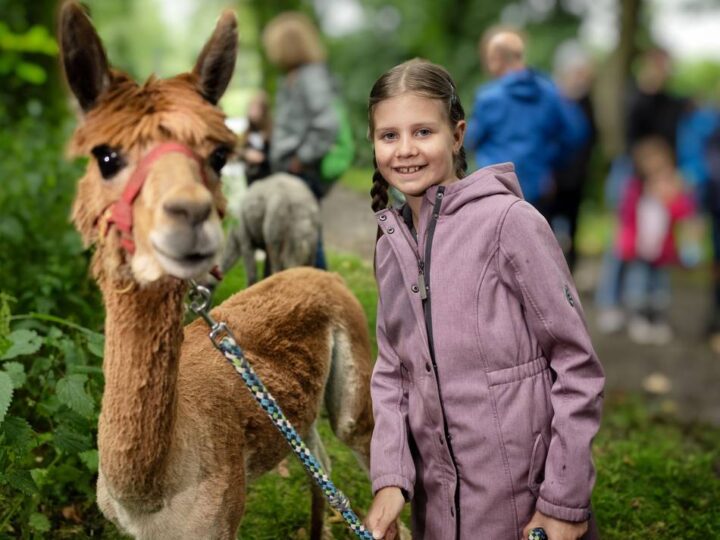 In Monheim: Angebote für Kinder in den Herbstferien
