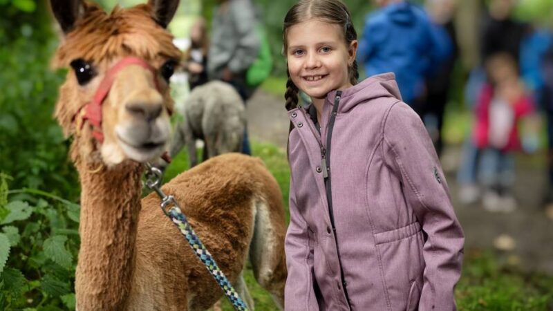 In Monheim: Angebote für Kinder in den Herbstferien