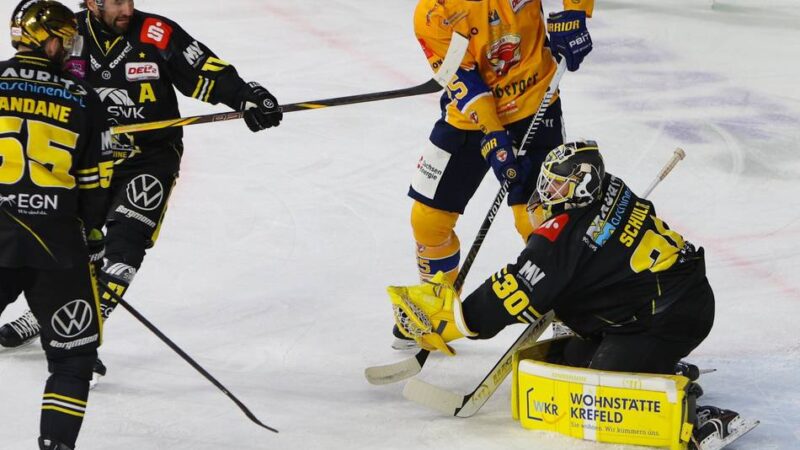 Fünftes Heimspiel, fünfter Sieg: Pinguine drehen das Spiel und feiern Schulte