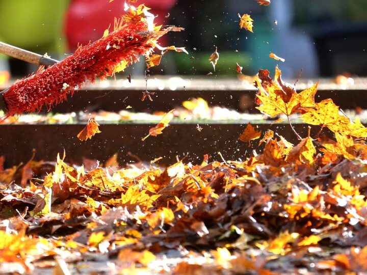 Versicherungstipps von Hückeswagener Experten: Wenn rutschiges Herbstlaub zum Rechtsfall wird