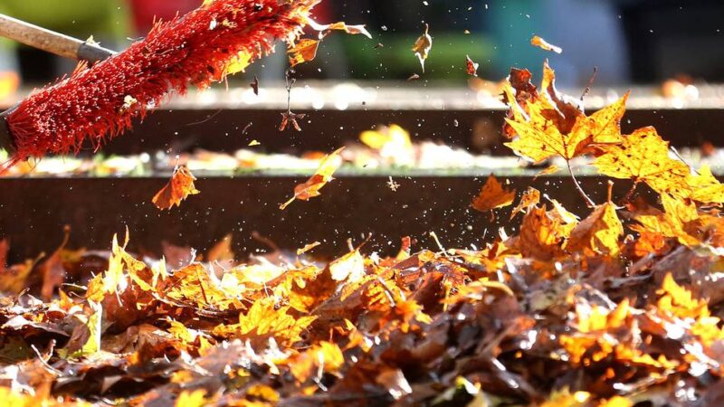 Versicherungstipps von Hückeswagener Experten: Wenn rutschiges Herbstlaub zum Rechtsfall wird
