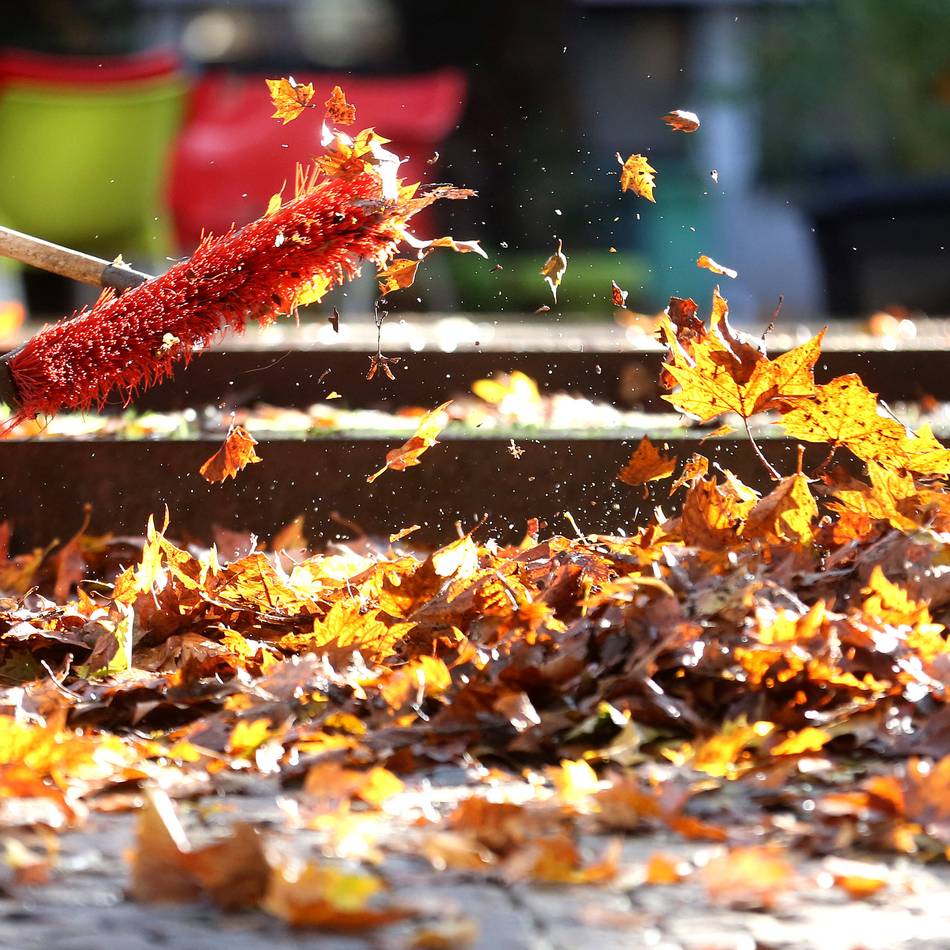 Versicherungstipps von Hückeswagener Experten: Wenn rutschiges Herbstlaub zum Rechtsfall wird