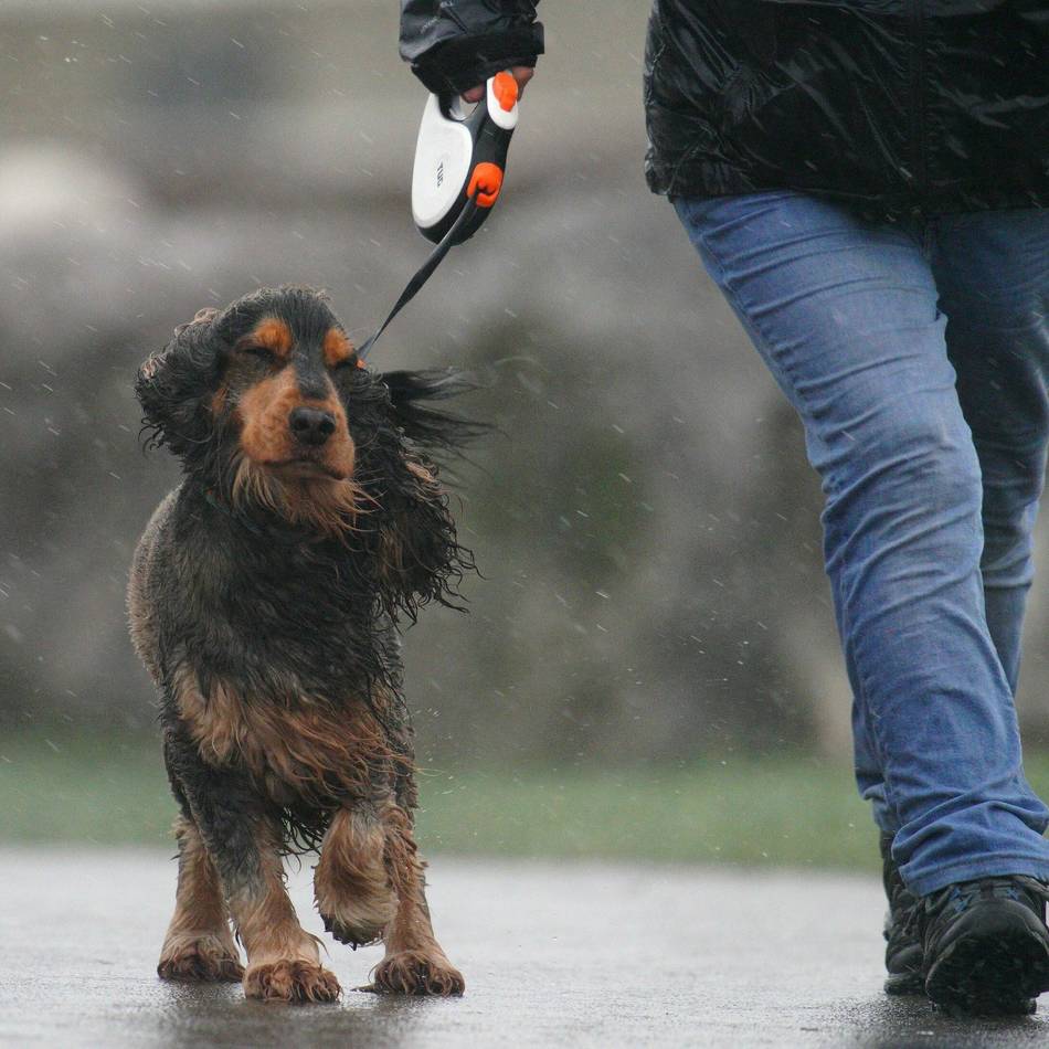 Böen von bis zu 80 km/h in Hilden und Haan: Wetterdienst warnt vor Sturmböen