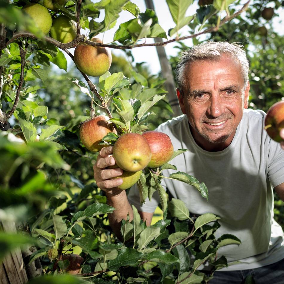 Wiederkehrende Kritik in Leichlingen: Warum gibt es (fast) keine Obstbauern beim Obstmarkt?