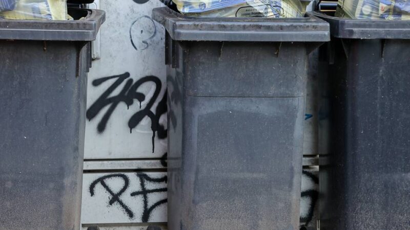 Restmülltonnen drei Wochen lang nicht geleert: „Wenn Ratten auftauchen, haben wir ein ganz anderes Problem“