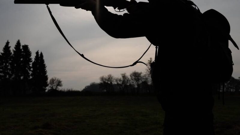 Nachts auf der Koppel: Jäger erschießt versehentlich Pferd in Neuss