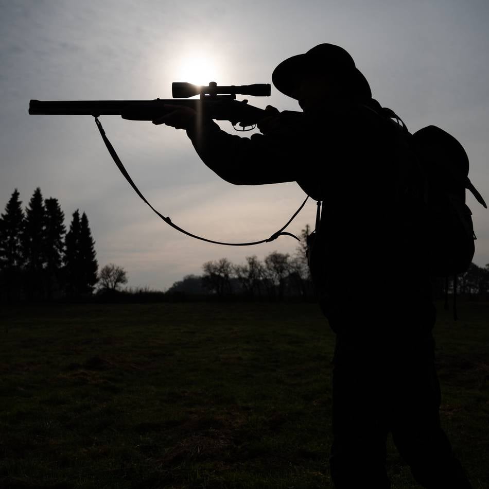 Nachts auf der Koppel: Jäger erschießt versehentlich Pferd in Neuss