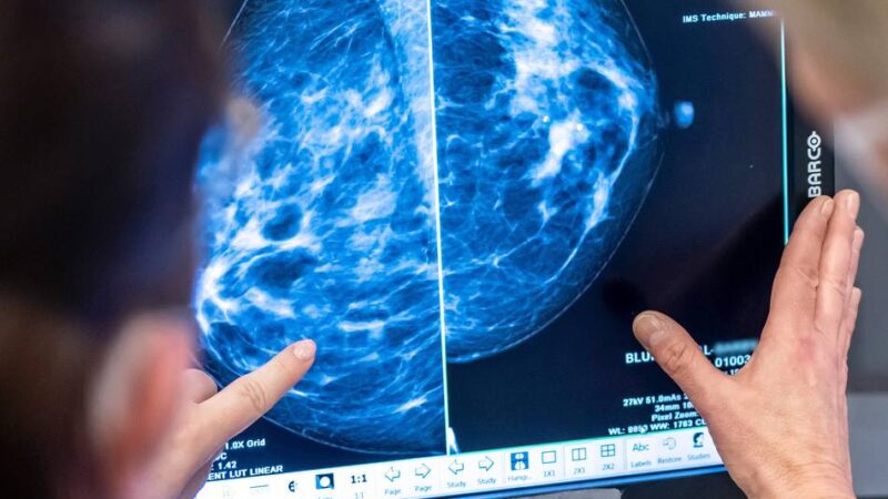 Pinktober in Mönchengladbach: Krankenhäuser setzen auf Schwerpunkt Brustkrebs