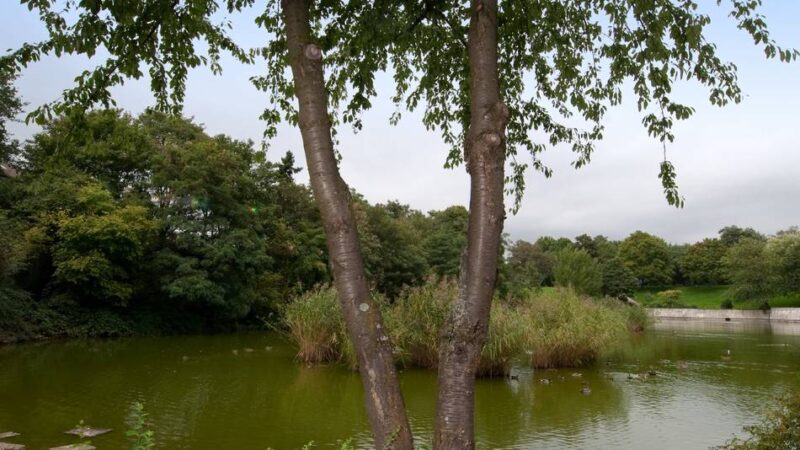 Im Aquliapark in Leverkusen: Schuhe lösen Einsatz von Polizei und Feuerwehr aus