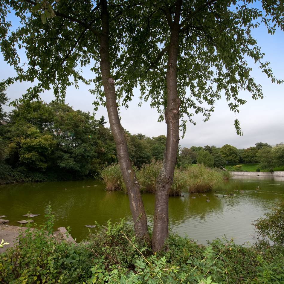 Im Aquliapark in Leverkusen: Schuhe lösen Einsatz von Polizei und Feuerwehr aus