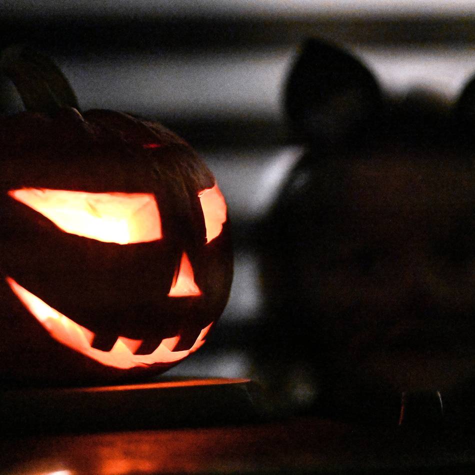 Halloween in Xanten: Wo in Vynen schaurig-schöne Häuser stehen