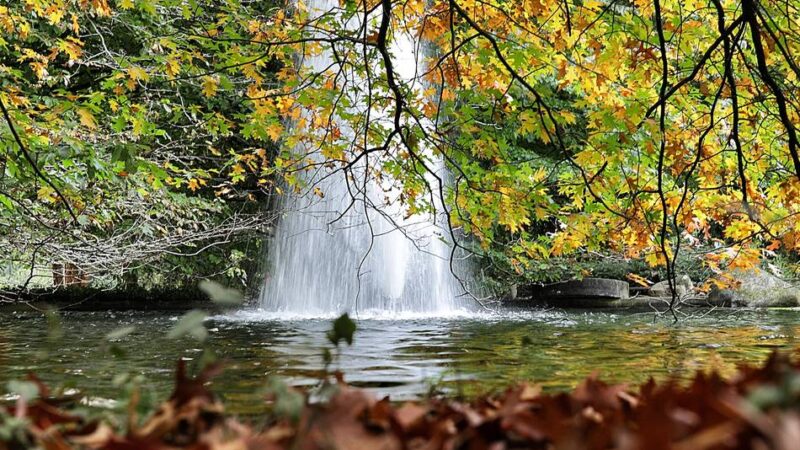 Leseraufruf: Schicken Sie uns Ihre schönsten Herbstfotos
