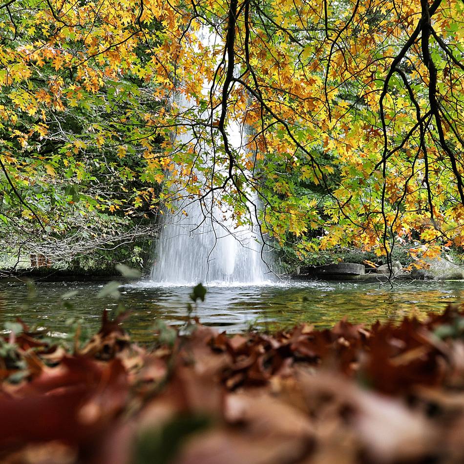 Leseraufruf: Schicken Sie uns Ihre schönsten Herbstfotos