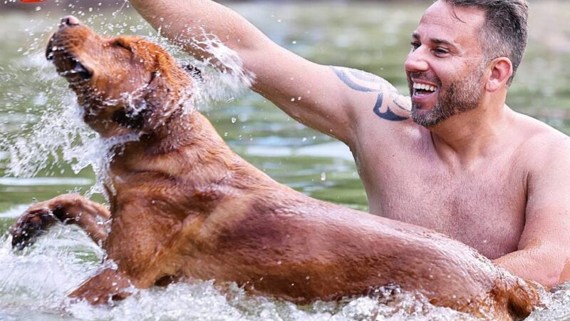 Was vom vierten Hundeschwimmen im Naturfreibad Mettmann übrig blieb: Große Spenden für das Tierheim Hilden und die DLRG Hunderettungsstaffel
