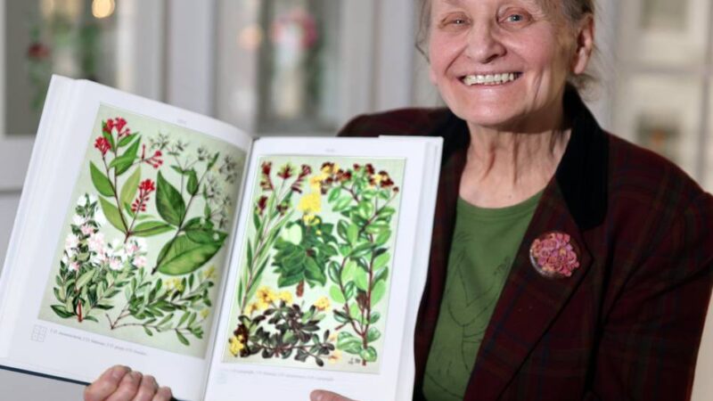 Ausstellung in Hilden: „Pflanzen, die faszinieren“ – eine Hommage an Flora und Fauna