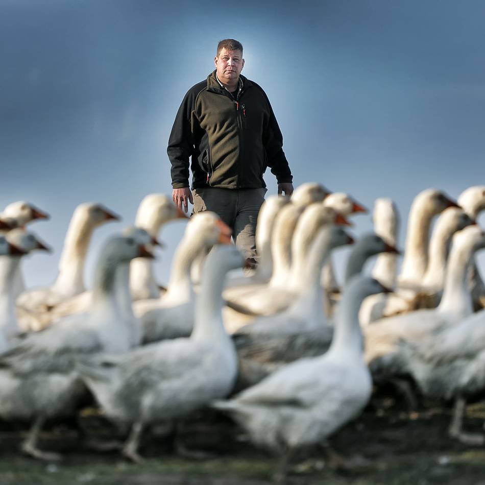 Anspannung auf Gut Schobbenhaus in der Mettmanner Außenbürgschaft: Das sind die Sicherheitsmaßnahmen gegen Vogelgrippe