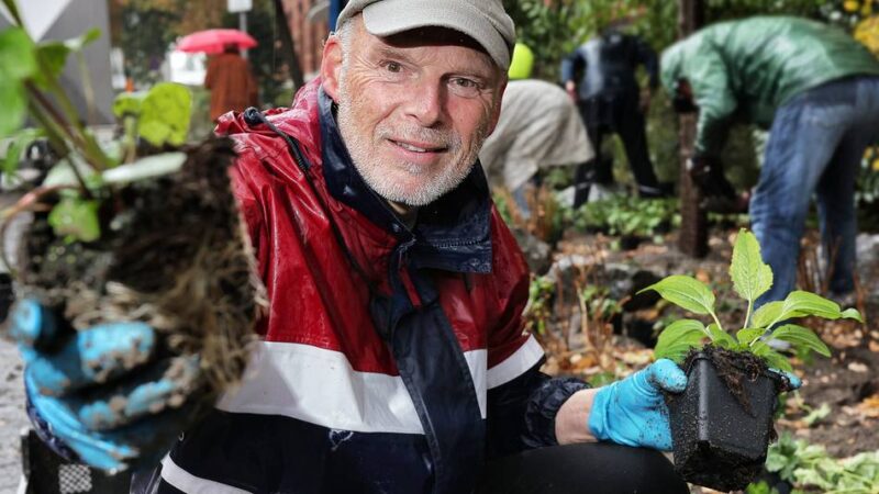 Für mehr Grün in Mettmann: 1500 Stauden machen aus dem Schottergarten ein Insektenparadies