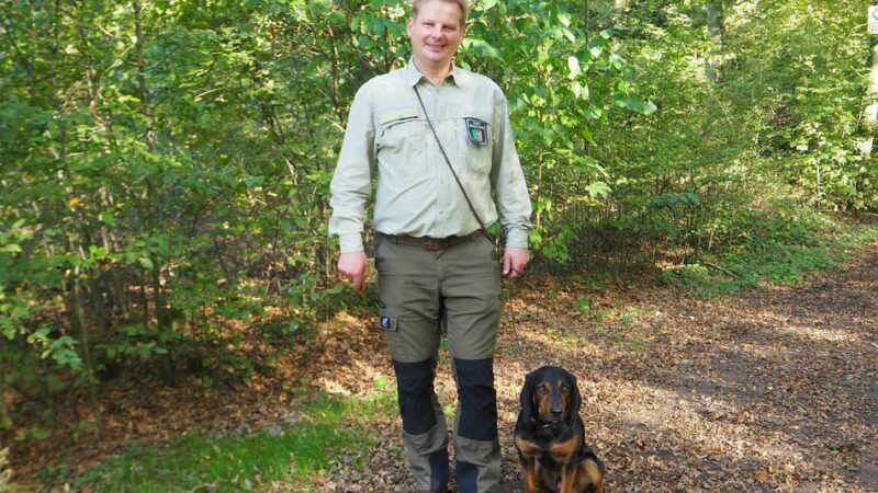 Natur in Dormagen: Im Chorbusch fallen rund 100 alte Eichen