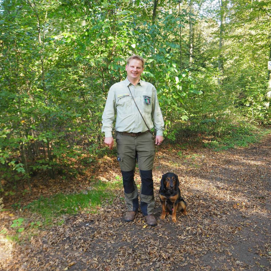 Natur in Dormagen: Im Chorbusch fallen rund 100 alte Eichen