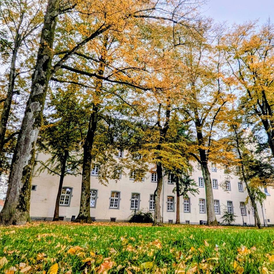 Leseraufruf: Der Herbst von seiner schönen Seite