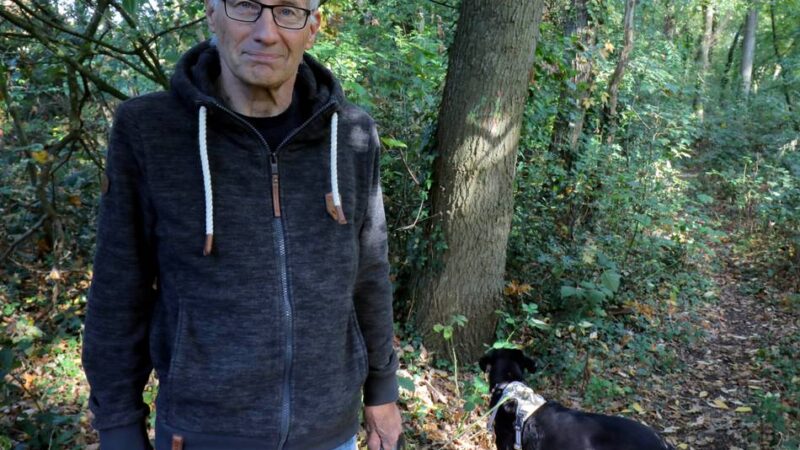 Interessengemeinschaft will Rodung verhindern: Anwohner des Budberger Wäldchens bitten die Stadt um Hilfe