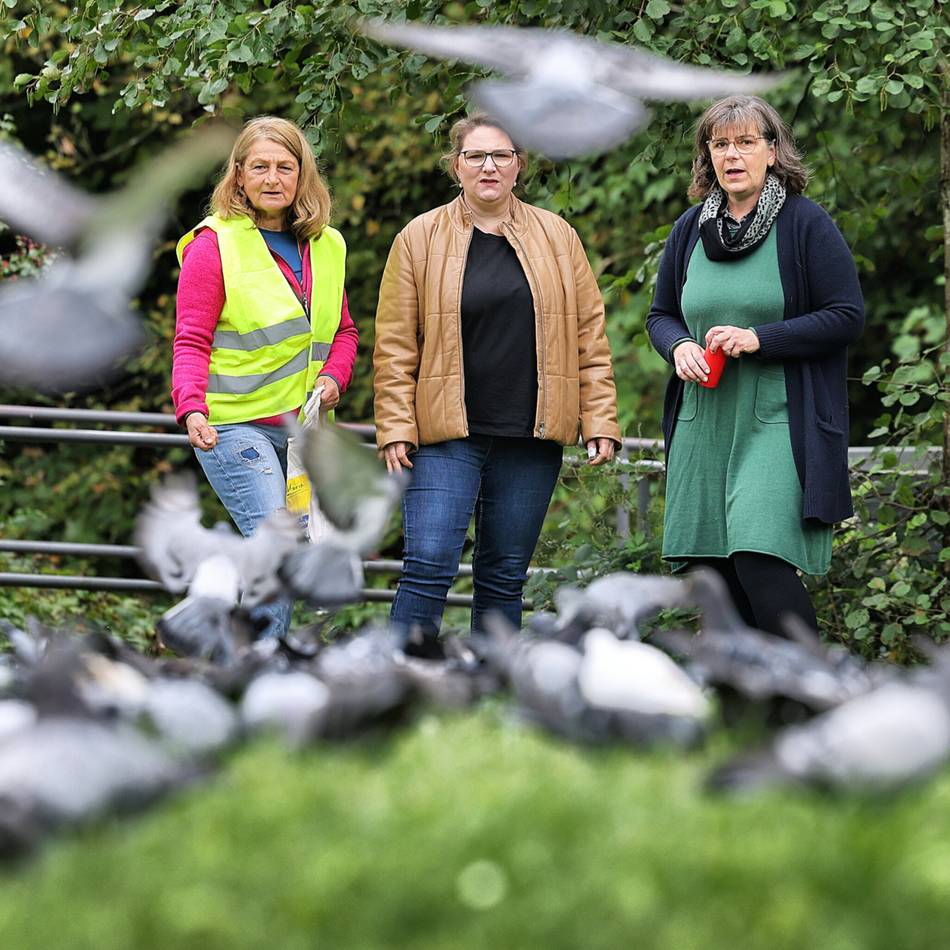 Projektstart in Mettmann: So werden die Tauben vom Jubi weggelockt