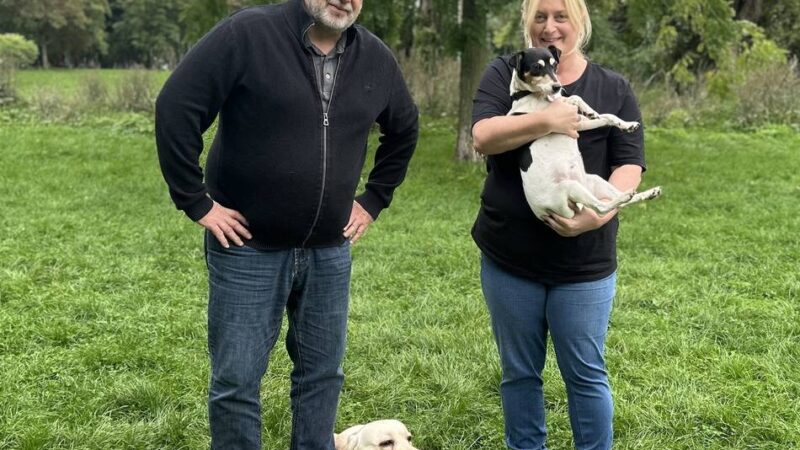 Neue Studie: Hund und Besitzer haben Gemeinsamkeiten bei Aussehen und Persönlichkeit