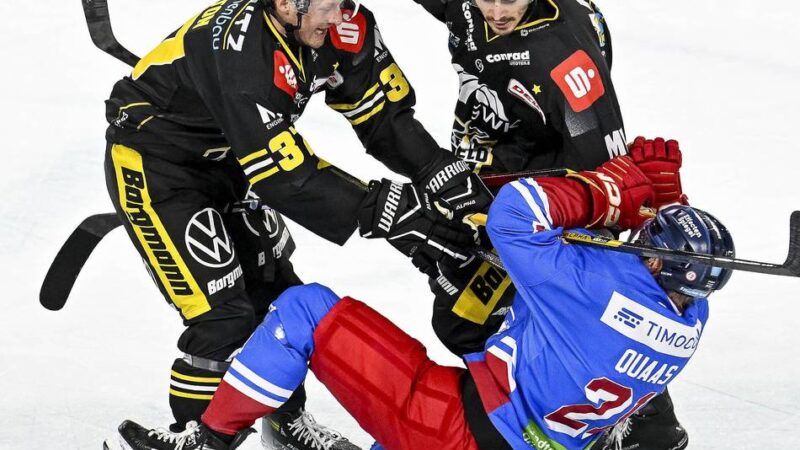 Alte Freunde bei den Pinguinen wieder vereint: Mathew und Max – die neue „Bromance“ von der Westparkstraße