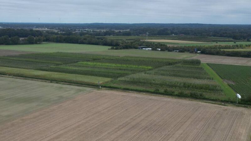 Flächennutzungsplan liegt aus: Zwei neue Windräder in Breyell geplant