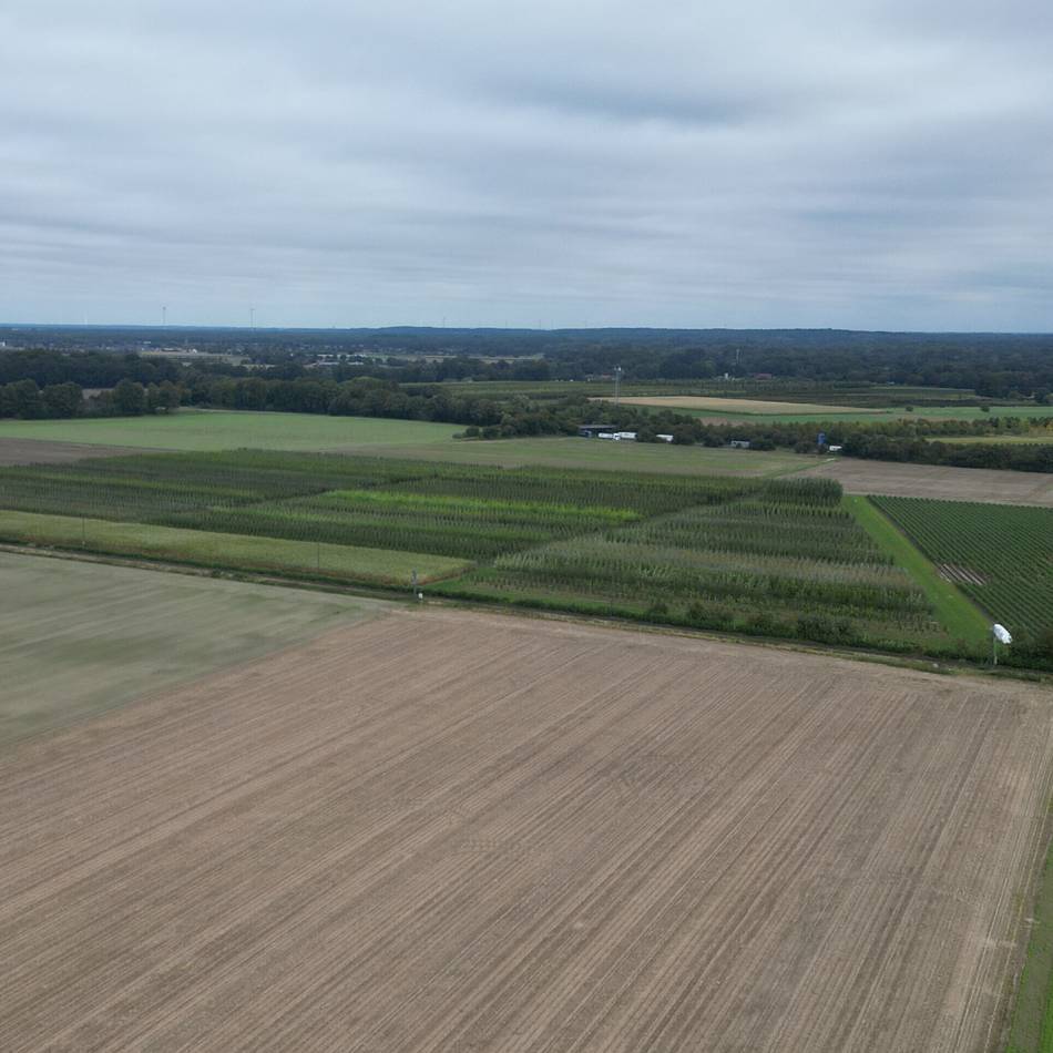 Flächennutzungsplan liegt aus: Zwei neue Windräder in Breyell geplant