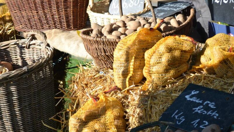 Oberbergischer Kreis: Freilichtmuseum bietet Aktionen in den Herbstferien
