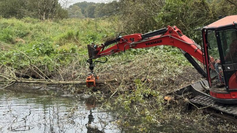 Arbeiten im Latumer Bruch: Hilfe für den Kammmolch – KBK pflegt Gewässer