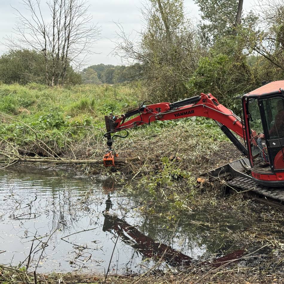 Arbeiten im Latumer Bruch: Hilfe für den Kammmolch – KBK pflegt Gewässer