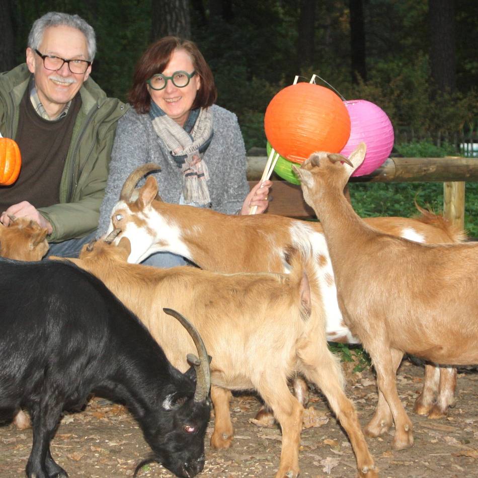 Saisonabschluss im Tier- und Naturpark Brüggen: Erstes Kürbisfest – mit Laternenwanderung und Marshmallow-Spießen