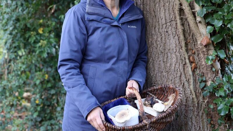 Expertin gibt Tipps für Mönchengladbach: „Man sollte Pilze wie rohes Fleisch behandeln“