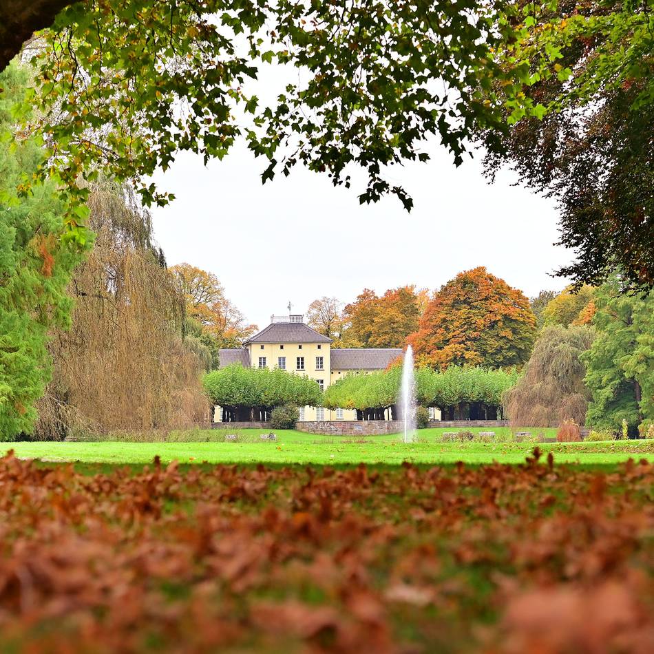 Fotos aus Krefeld gesucht: Schicken Sie uns Ihre Herbstbilder!