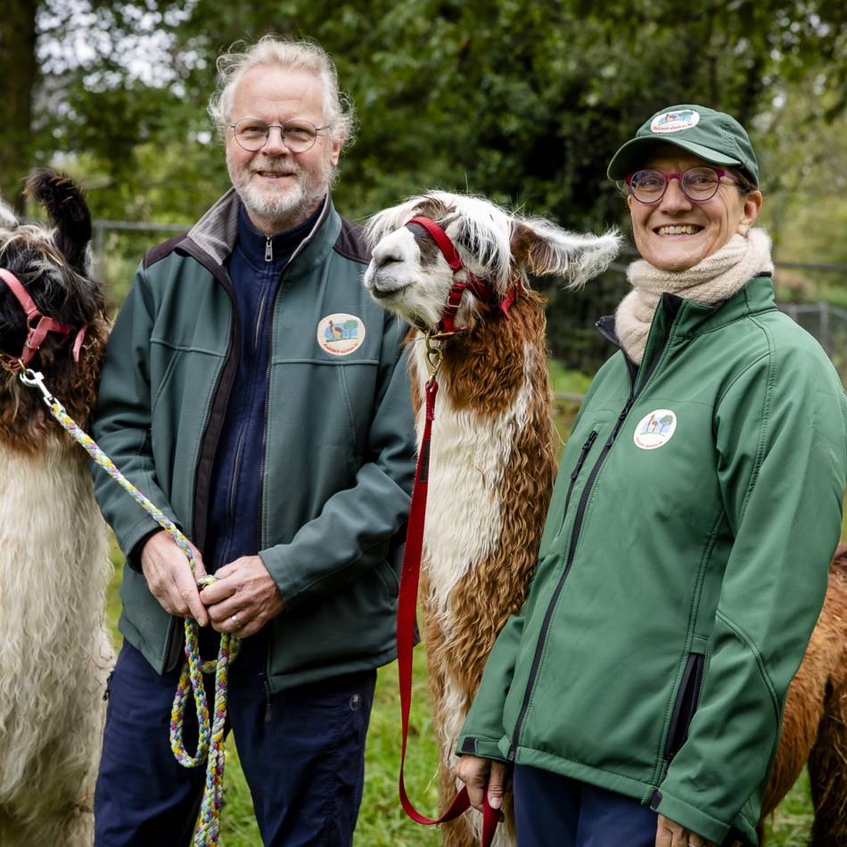 Tiere in Düsseldorf: Zwei entzückende Lama-Damen ergänzen die Alpaka-Herde