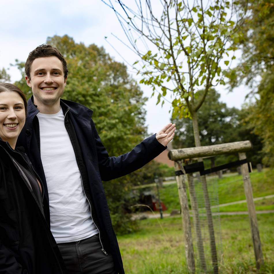 Für das runde Jubiläum oder Frischverheiratete: Hochzeitsbäume als Glücksbringer für Paare – am neuen Standort in Kaiserswerth