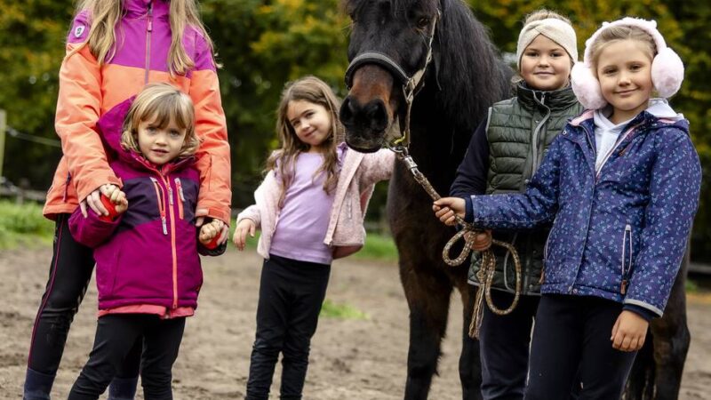 Herbstferien in Düsseldorf: Auf dem Kinderbauernhof gehts um das Miteinander