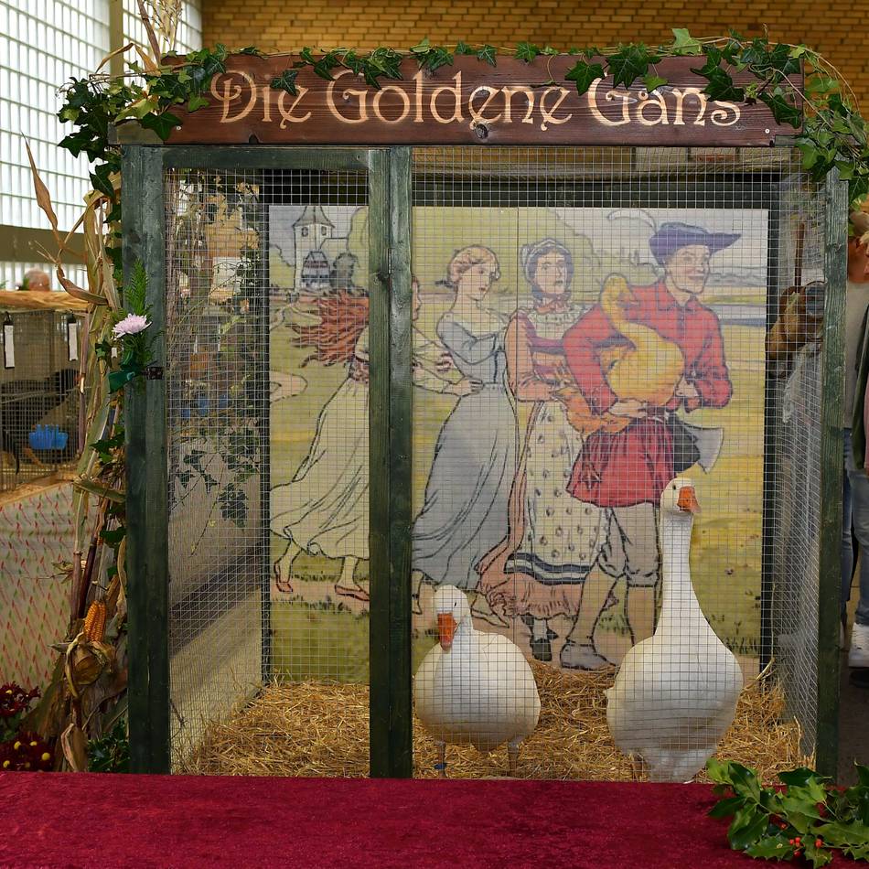 Geflügel- und Straußenzucht in Wermelskirchen: „Eine bedrohte Tierart können wir nicht einfach nachkaufen“