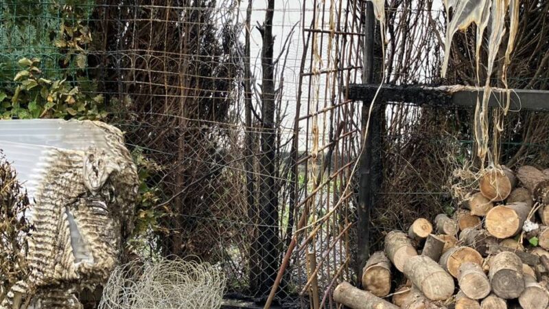 Hecke in Süchteln fing Feuer: Anwohner verhindern Hausbrand mit Gartenschlauch