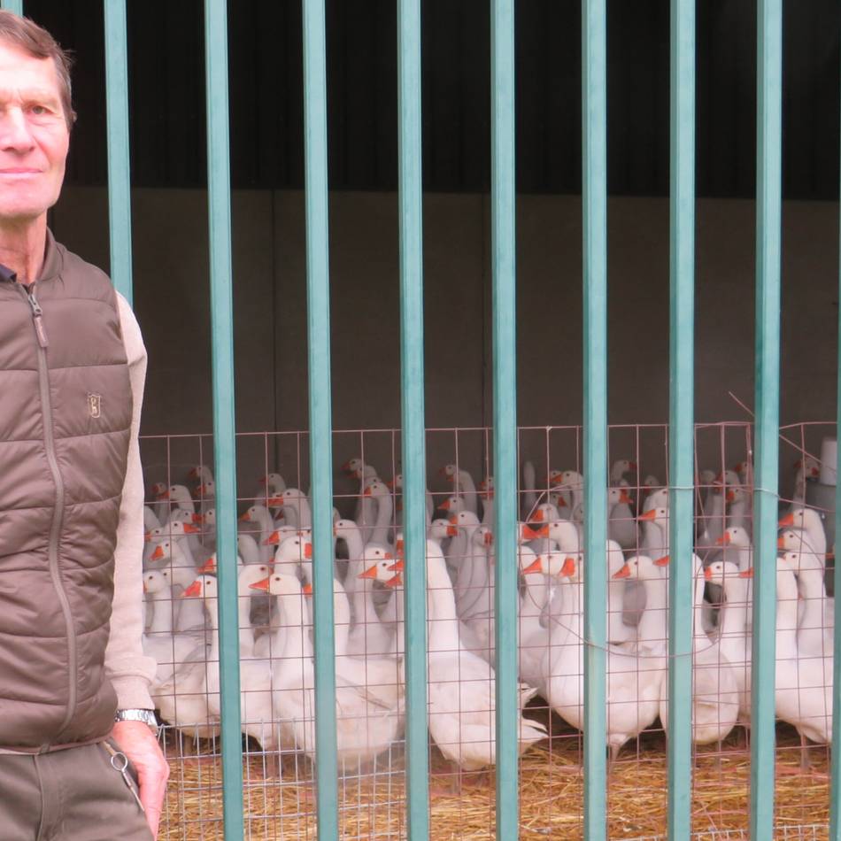 Vogelgrippe-Sorge in Duisburg: „Ich bin jeden Morgen heilfroh, wenn die Tiere im Stall gesund sind“