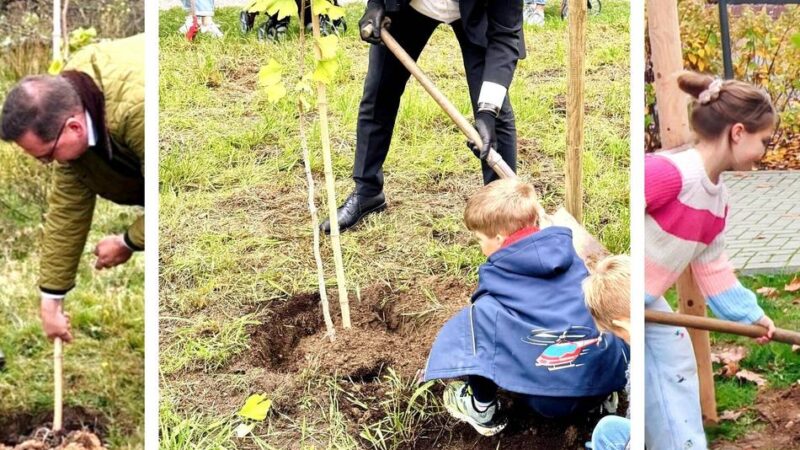Mahnmal, Erinnerung und Friedenszeichen im Grenzland: Bürgermeister pflanzen Ginkgo-Bäume aus Hiroshima